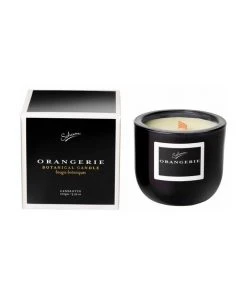 Best reviews of ❤️ Sohum Orangerie Candlette 🛒