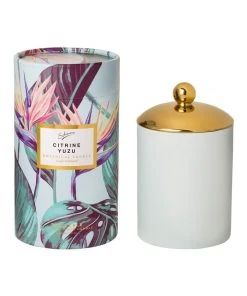 Brand new 🎉 Sohum Citrine Yuzu Candle ⭐