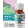 Best deal 🧨 In Essence Australian Native Ranges Pure Essential Oil Blend 9ml 🧨
