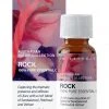 Flash Sale ⌛ In Essence Australian Native Rock Pure Essential Oil Blend 9ml 🤩