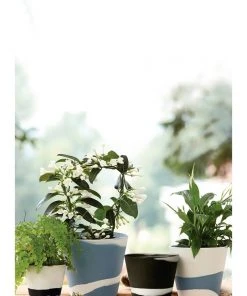 Brand new ✨ Wedgwood Burlington Pots 4inch Pot Black/White ✨ 4 Brand new ✨ Wedgwood Burlington Pots 4inch Pot Black/White ✨ -Deals Home Décor Store 561677500 2 720x928