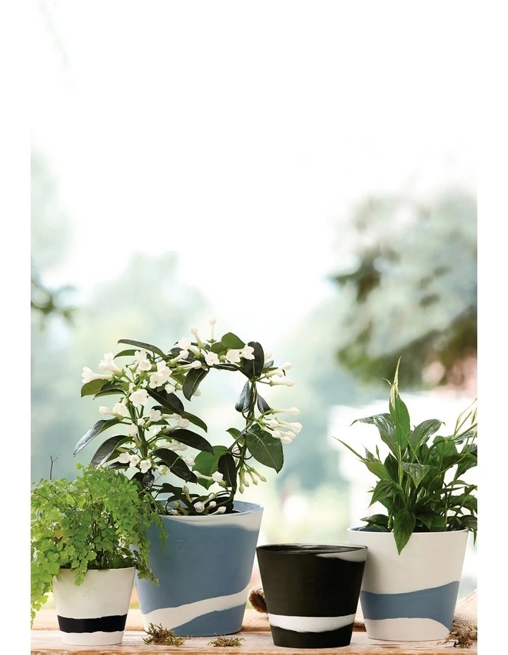 Brand new ✨ Wedgwood Burlington Pots 4inch Pot Black/White ✨ 2 Brand new ✨ Wedgwood Burlington Pots 4inch Pot Black/White ✨ - Image 2