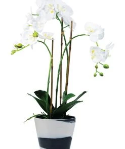 Coupon ✔️ Wedgwood Burlington Pots 6inch Pot Black/White ✔️ -Deals Home Décor Store 561677680 2 720x928