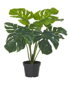 Best reviews of 🧨 Rogue Artificial Monsteria Plant 60cm ⭐