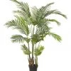 Best Pirce 👏 Rogue Areca Palm 110x170cm ✔️