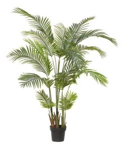 Best Pirce 👏 Rogue Areca Palm 110x170cm ✔️