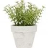 Best reviews of 🔔 Heritage Artificial White Flowers in Pot 16.5cm ✨