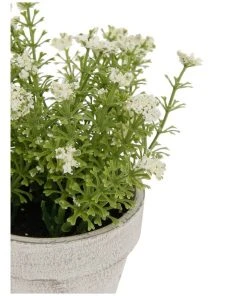 Best reviews of 🔔 Heritage Artificial White Flowers in Pot 16.5cm ✨ -Deals Home Décor Store 651498400 2 2 720x928