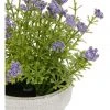 Outlet 🎉 Heritage Artificial Lilac Flowers in Pot 🛒