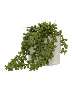 Top 10 🔔 Vue Artificial String of Pearls in Cement Pot 15cm ⌛