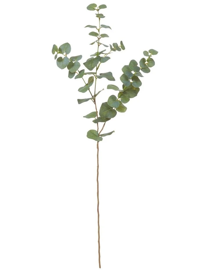 Best deal β€οΈ Rogue Eucalyptus Spray 78cm Artificial Stem Green π 1 Best deal β€οΈ Rogue Eucalyptus Spray 78cm Artificial Stem Green π