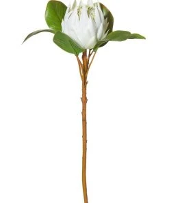 Brand new 👍 Rogue King Protea 54cm Artificial Stem White 😍