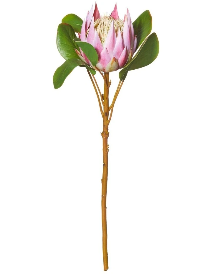 Promo β¨ Rogue King Protea 54cm Artificial Stem Pink π 1 Promo β¨ Rogue King Protea 54cm Artificial Stem Pink π