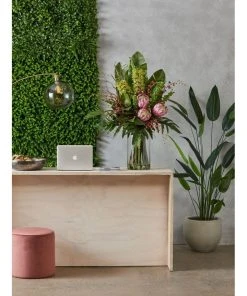 Promo β¨ Rogue King Protea 54cm Artificial Stem Pink π 3 Promo β¨ Rogue King Protea 54cm Artificial Stem Pink π -Deals Home DΓ©cor Store 655990480 2 720x928