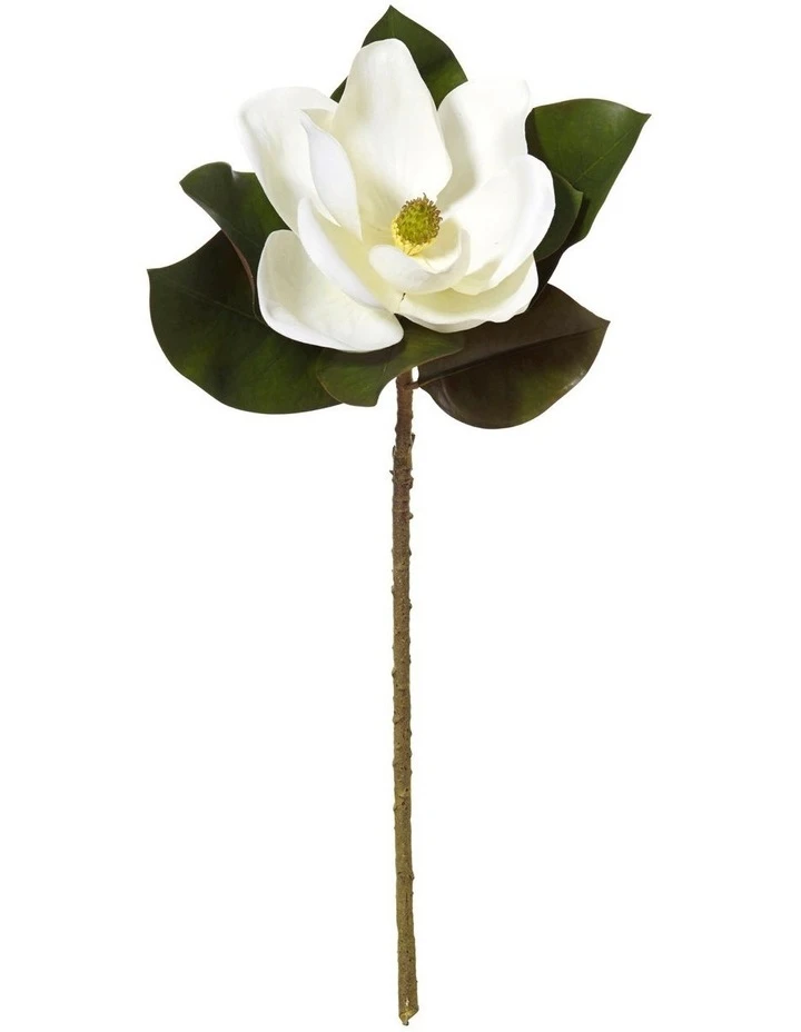 Best Sale π₯° Rogue Grand Magnolia 66cm Artificial Stem White π 1 Best Sale π₯° Rogue Grand Magnolia 66cm Artificial Stem White π