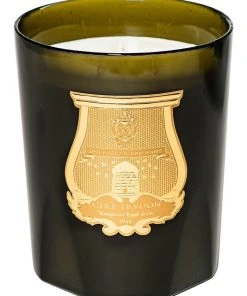 Top 10 π₯ Cire Trudon Ernesto Great Candle 3kg π§¨