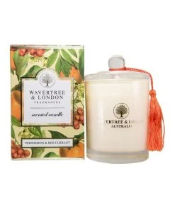 Cheapest π Wavertree & London Persimmon and Red Currant Candle β¨