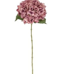 Hot Sale 😀 Rogue Hydrangea Stem Dusty Pink 65cm ✔️ -Deals Home Décor Store 684442450 1 1 720x928