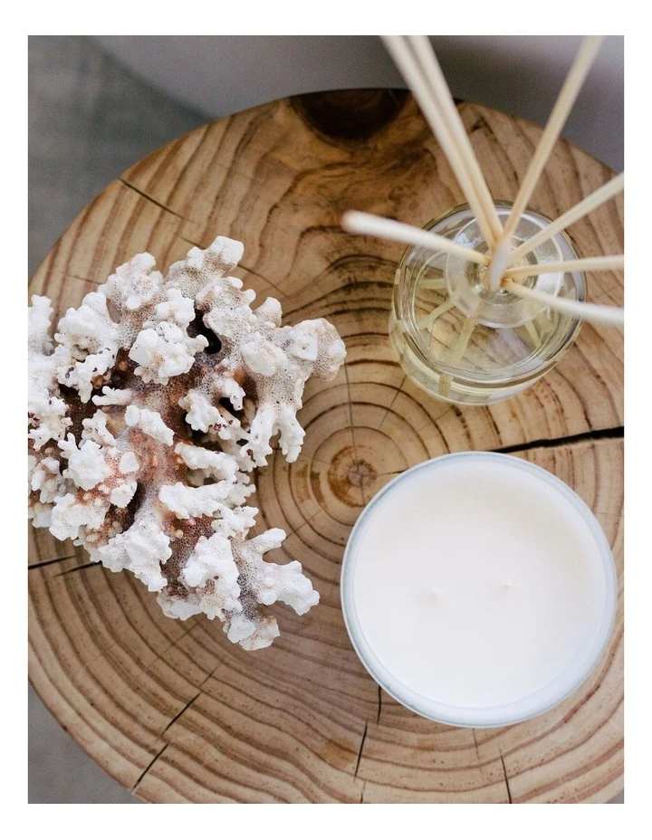 Wholesale βοΈ Palm Beach Collection Vintage Gardenia 420g Scented Soy Candle π 3 Wholesale βοΈ Palm Beach Collection Vintage Gardenia 420g Scented Soy Candle π - Image 3