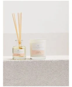 Cheap 😀 Palm Beach Collection Watermelon 90g Scented Soy Candle 👍 -Deals Home Décor Store 704636020 3 720x928