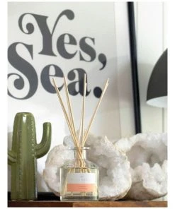 Cheap 👍 Palm Beach Collection Watermelon 50ml Mini Fragrance Diffuser 🧨 -Deals Home Décor Store 704637730 2 720x928