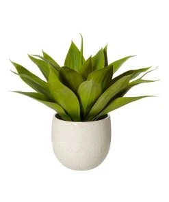 Promo ✔️ Rogue 55x55x48cm Agave Tub Pot Green/White 🔥