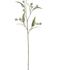 Cheap 🥰 Rogue Gumnut Artificial Flower Stem Green ✨