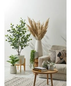 Hot Sale ⭐ Rogue Pampas Grass Spray 92cm Artificial Stem Cream ⌛ -Deals Home Décor Store 711507340 2 720x928