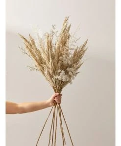 Hot Sale ⭐ Rogue Pampas Grass Spray 92cm Artificial Stem Cream ⌛ -Deals Home Décor Store 711507340 4 720x928