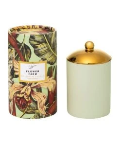 Wholesale 🤩 Sohum Eco Candle Flower Farm 💯