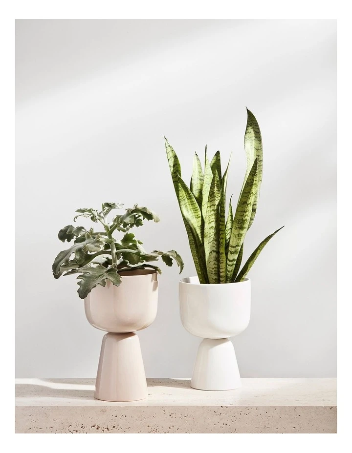 Buy ✔️ IITTALA Nappula 23cm Plantpot Beige ✔️ 2 Buy ✔️ IITTALA Nappula 23cm Plantpot Beige ✔️ - Image 2