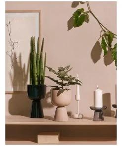 Promo π IITTALA Nappula 23cm Plantpot Dark Green π 3 Promo π IITTALA Nappula 23cm Plantpot Dark Green π -Deals Home DΓ©cor Store 753605470 2 720x928