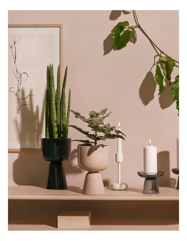 Promo π IITTALA Nappula 23cm Plantpot Dark Green π 2 Promo π IITTALA Nappula 23cm Plantpot Dark Green π - Image 2