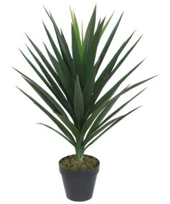 Promo ⌛ Cooper & Co 75Cm Tall Potted Yucca Home Decor Fake Plant 😍