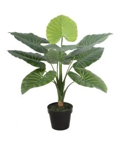 Top 10 🔔 Cooper & Co 60cm Tall Potted Taro Home Decor Fake Plant Indoor ✨