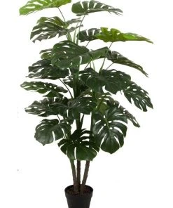 Buy ⭐ Cooper & Co 140Cm Tall Potted Monstera Home Decor Fake Plant 👍