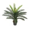 Coupon 💯 Cooper & Co 75cm Tall Potted Cycas 🛒