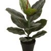 Brand new ❤️ Cooper & Co 45Cm Tall Potted Ficus Home Decor Fake Plant Indoor Flowers Plastic ✨