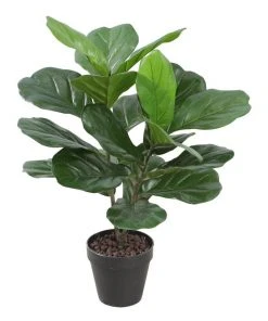 Cheapest ⌛ Cooper & Co 75Cm Tall Potted Fiddle Leaf Home Decor Fake Plant Indoor 🧨
