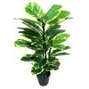 Hot Sale ❤️ Cooper & Co Botanica 90cm Artificial Rubber Plant 🤩