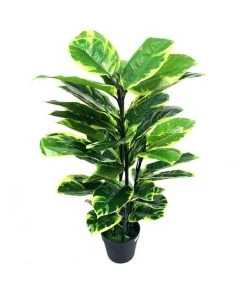 Hot Sale ❤️ Cooper & Co Botanica 90cm Artificial Rubber Plant 🤩