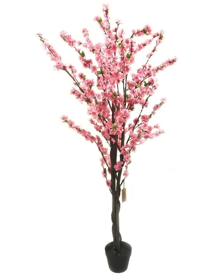 Brand new β€οΈ Cooper & Co Botanica 160cm Artificial Cherry Blossom Tree Plant π 1 Brand new β€οΈ Cooper & Co Botanica 160cm Artificial Cherry Blossom Tree Plant π