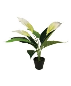 Top 10 ⌛ Cooper & Co 55cm Artificial Peace Lily Plant 😍