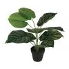 Promo 🎁 Cooper & Co 45cm Artificial Calathea Orbifolia Plant 🔔