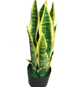 Wholesale ⭐ Cooper & Co 65Cm Tall Potted Artificial Mother In Law Tongue 🔥