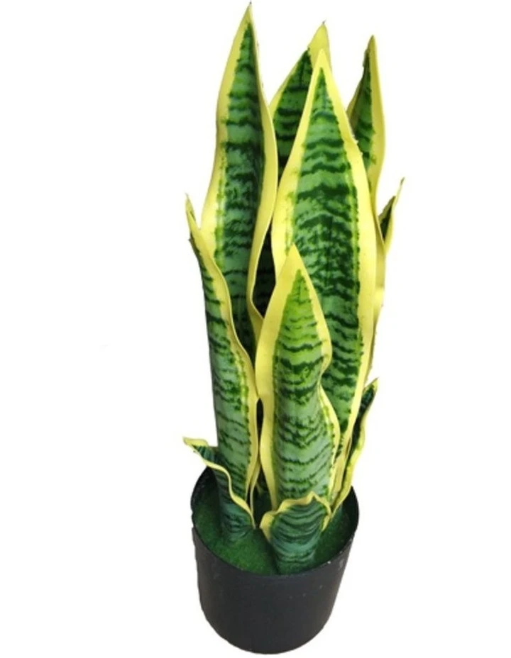 Wholesale β Cooper & Co 65Cm Tall Potted Artificial Mother In Law Tongue π₯ 1 Wholesale β Cooper & Co 65Cm Tall Potted Artificial Mother In Law Tongue π₯