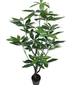 Best reviews of ✔️ Cooper & Co 120Cm Tall Potted Artificial Money Bag Home Decor Fake Plant Indoor 👏