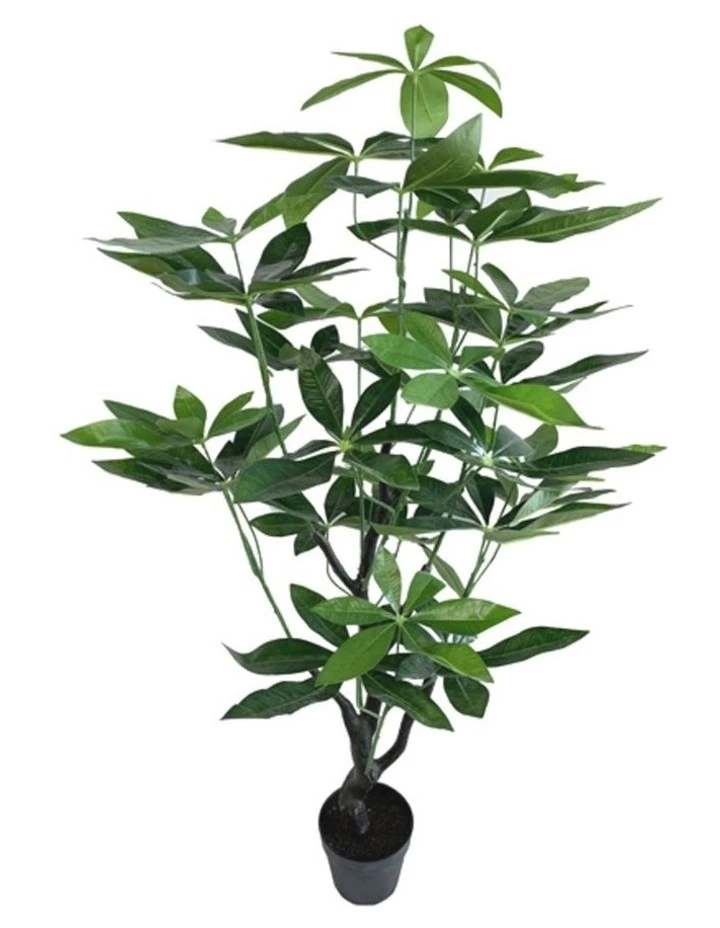Best reviews of βοΈ Cooper & Co 120Cm Tall Potted Artificial Money Bag Home Decor Fake Plant Indoor π 1 Best reviews of βοΈ Cooper & Co 120Cm Tall Potted Artificial Money Bag Home Decor Fake Plant Indoor π