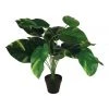 Discount ⭐ Cooper & Co 55Cm Artificial Golden Pothis Plant ❤️