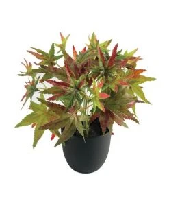 Discount 🧨 Cooper & Co 24cm Artificial Green Maple Plant 🎁